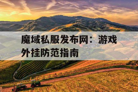魔域私服发布网:游戏外挂防范指南