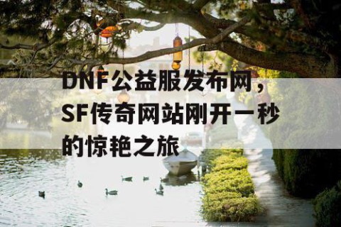 DNF公益服发布网，SF传奇网站刚开一秒的惊艳之旅