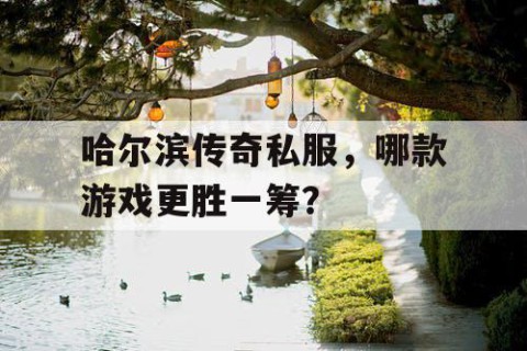 哈尔滨传奇私服，哪款游戏更胜一筹？