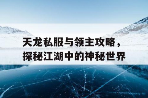 天龙私服与领主攻略，探秘江湖中的神秘世界