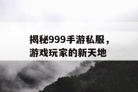 揭秘999手游私服，游戏玩家的新天地