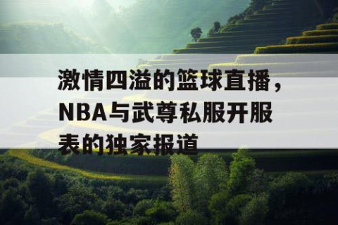 激情四溢的篮球直播,NBA与武尊私服开服表的独家报道