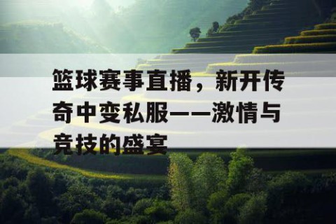 篮球赛事直播,新开传奇中变私服——激情与竞技的盛宴