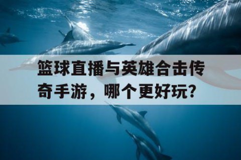 篮球直播与英雄合击传奇手游，哪个更好玩？