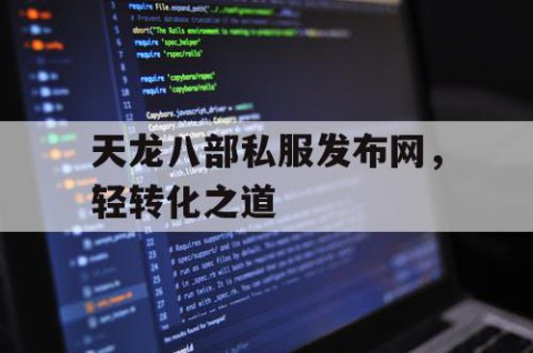 天龙八部私服发布网，轻转化之道