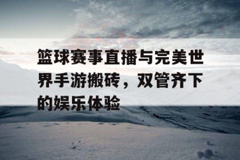 篮球赛事直播与完美世界手游搬砖，双管齐下的娱乐体验