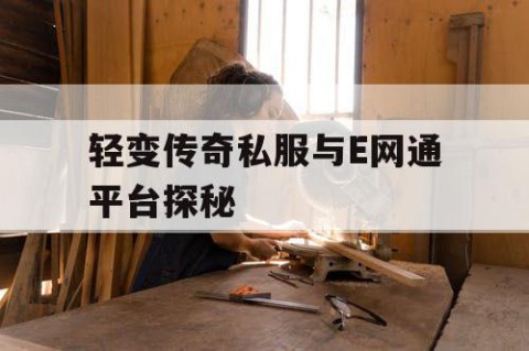 轻变传奇私服与E网通平台探秘