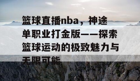 篮球直播nba,神途单职业打金版——探索篮球运动的极致魅力与无限可能
