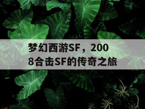 梦幻西游SF，2008合击SF的传奇之旅