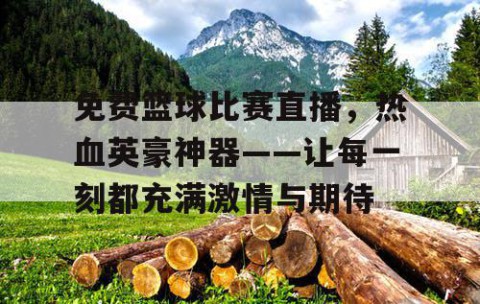 免费篮球比赛直播,热血英豪神器——让每一刻都充满激情与期待