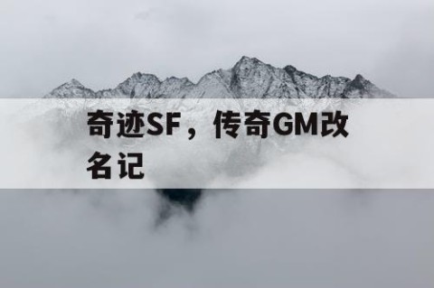 奇迹SF,传奇GM改名记