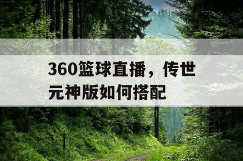 360篮球直播，传世元神版如何搭配
