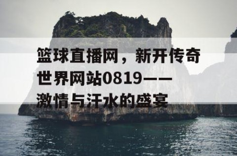 篮球直播网，新开传奇世界网站0819——激情与汗水的盛宴