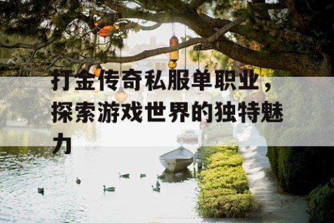 打金传奇私服单职业，探索游戏世界的独特魅力