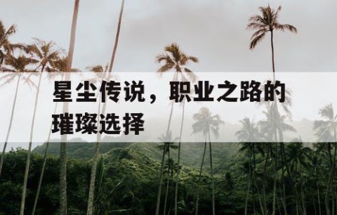 星尘传说，职业之路的璀璨选择