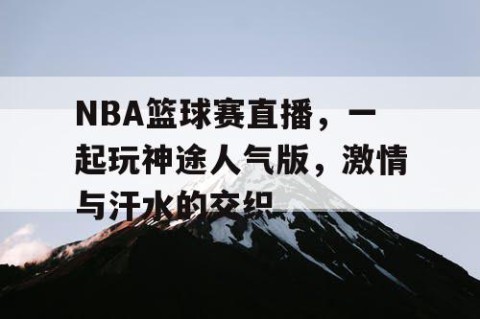 NBA篮球赛直播，一起玩神途人气版，激情与汗水的交织