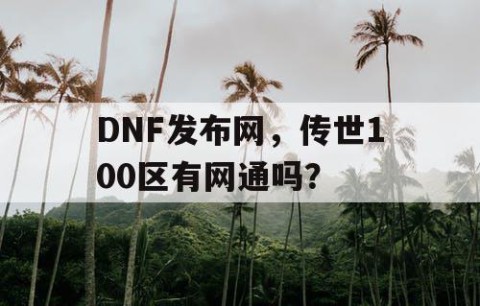 DNF发布网，传世100区有网通吗？