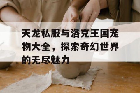 天龙私服与洛克王国宠物大全，探索奇幻世界的无尽魅力