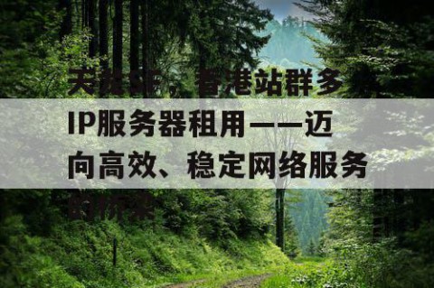 天龙SF，香港站群多IP服务器租用——迈向高效、稳定网络服务的桥梁
