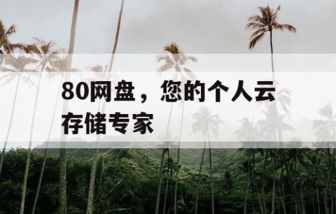 80网盘，您的个人云存储专家