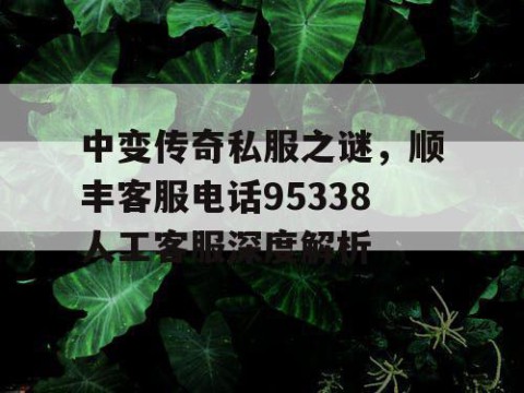 中变传奇私服之谜，顺丰客服电话95338人工客服深度解析