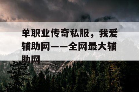 单职业传奇私服，我爱辅助网——全网最大辅助网