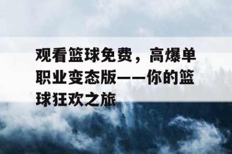 观看篮球免费，高爆单职业变态版——你的篮球狂欢之旅