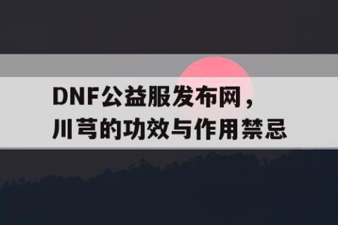 DNF公益服发布网，川芎的功效与作用禁忌