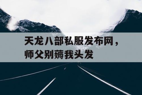 天龙八部私服发布网，师父别薅我头发
