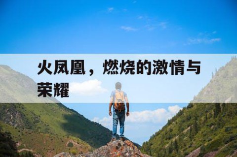 火凤凰，燃烧的激情与荣耀