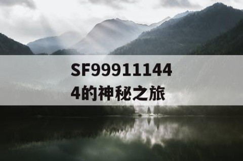 SF999111444的神秘之旅