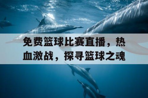 免费篮球比赛直播，热血激战，探寻篮球之魂