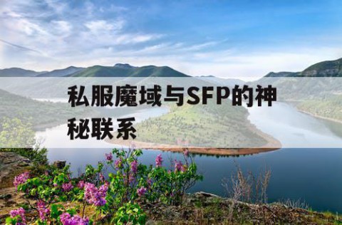 私服魔域与SFP的神秘联系