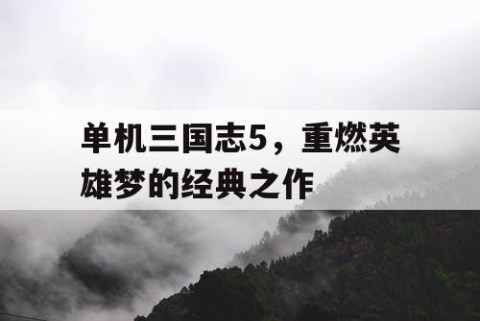 单机三国志5，重燃英雄梦的经典之作