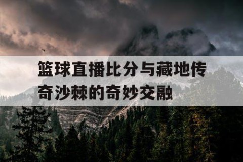篮球直播比分与藏地传奇沙棘的奇妙交融