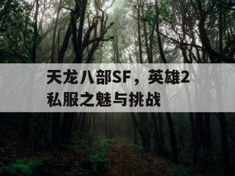 天龙八部SF，英雄2私服之魅与挑战