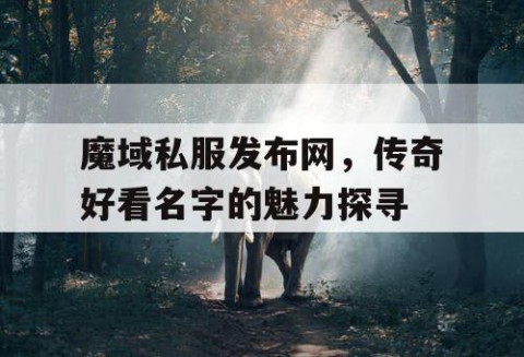 魔域私服发布网，传奇好看名字的魅力探寻