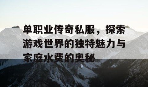 单职业传奇私服，探索游戏世界的独特魅力与家庭水费的奥秘