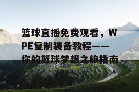 篮球直播免费观看,WPE复制装备教程——你的篮球梦想之旅指南