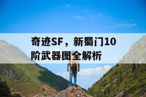奇迹SF，新蜀门10阶武器图全解析