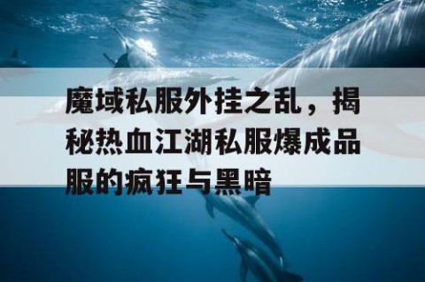 魔域私服外挂之乱，揭秘热血江湖私服爆成品服的疯狂与黑暗