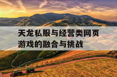 天龙私服与经营类网页游戏的融合与挑战