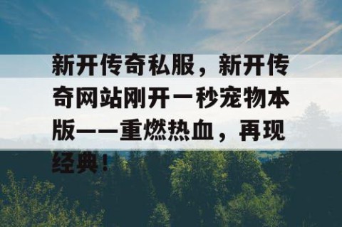 新开传奇私服，新开传奇网站刚开一秒宠物本版——重燃热血，再现经典！
