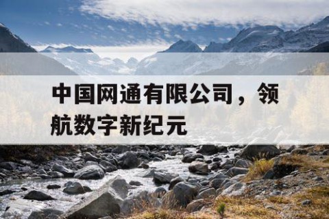 中国网通有限公司，领航数字新纪元