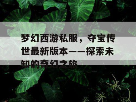 梦幻西游私服，夺宝传世最新版本——探索未知的奇幻之旅