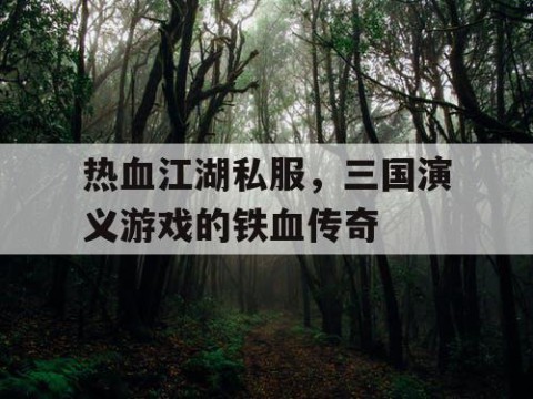 热血江湖私服，三国演义游戏的铁血传奇