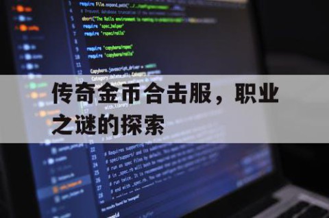 传奇金币合击服，职业之谜的探索