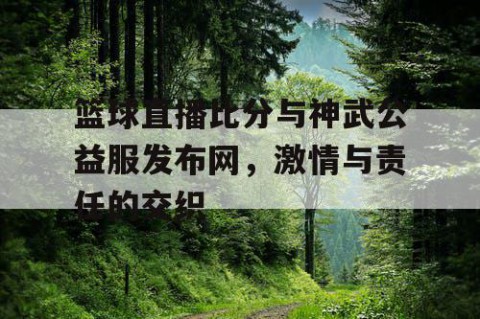 篮球直播比分与神武公益服发布网,激情与责任的交织