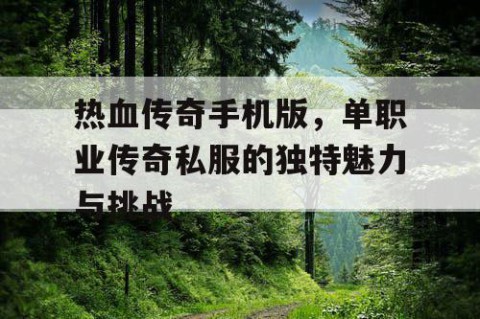 热血传奇手机版，单职业传奇私服的独特魅力与挑战