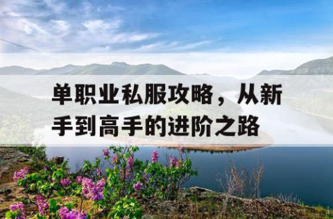 单职业私服攻略，从新手到高手的进阶之路